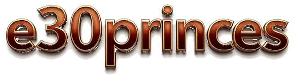 e30princes logo
